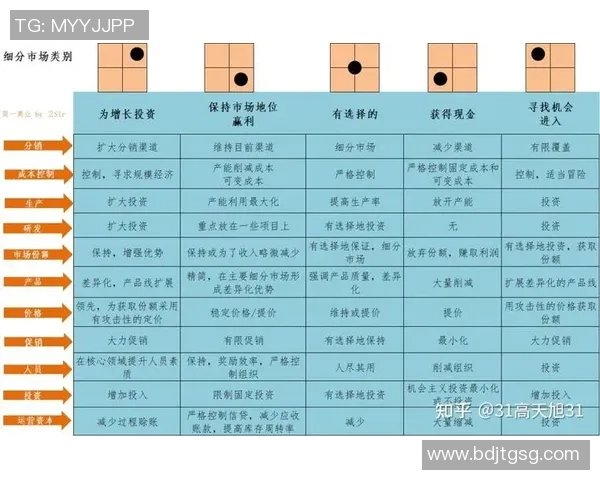 探索Vs利华古逊的市场策略与竞争优势分析