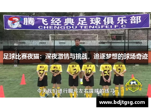 足球比赛夜猫：深夜激情与挑战，追逐梦想的球场奇迹